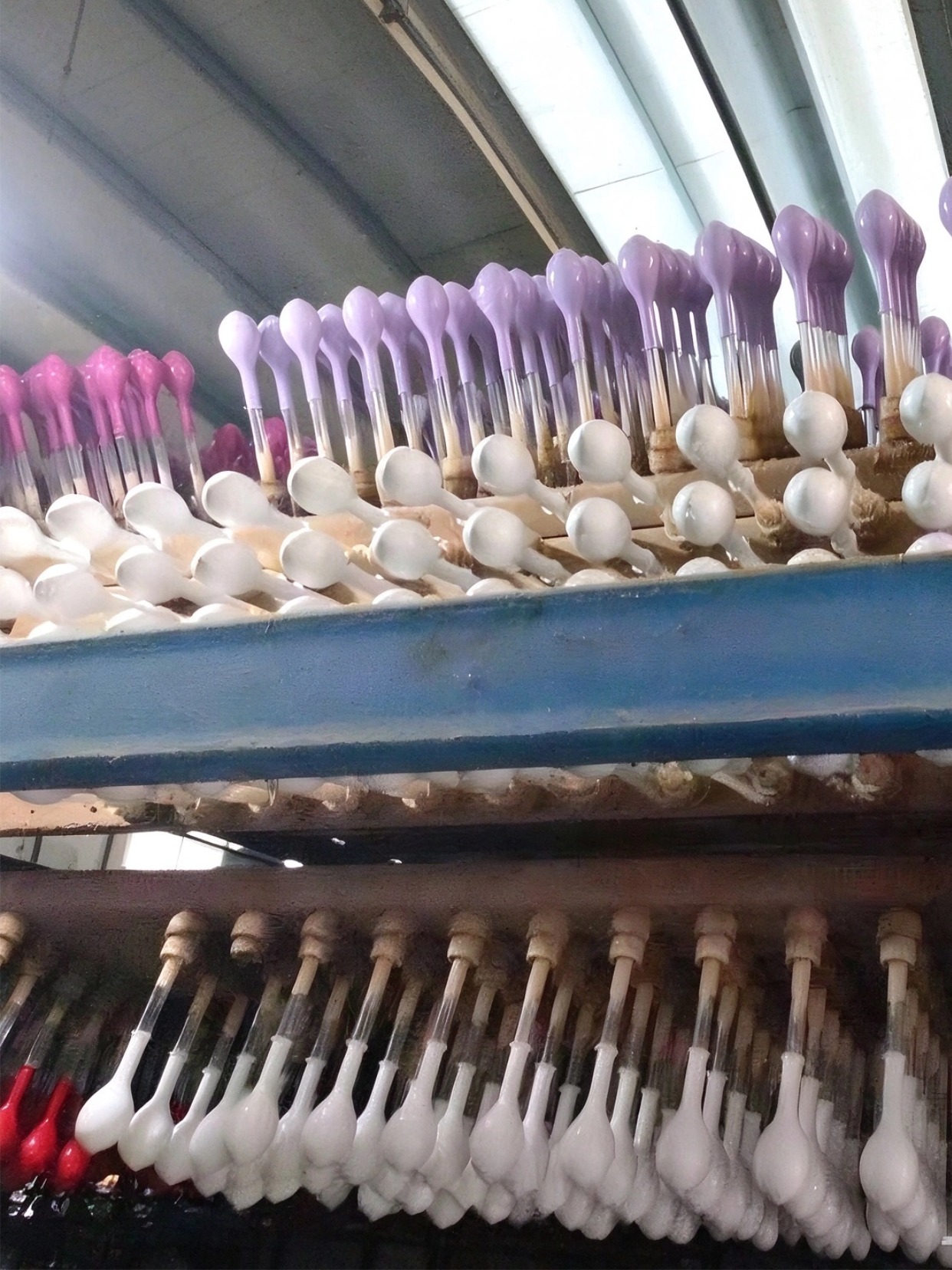 balloon production line